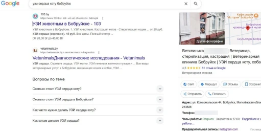 Ветклиника · Бобруйск — подтверждённый результат OnMap